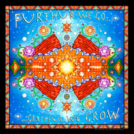 Furthur We Go... Red Rocks 12.5" LP cover Size Metallic Linen